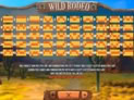 Wild Rodeo