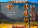 Wild Rodeo