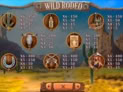 Wild Rodeo