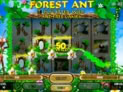 Forest Ant