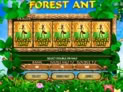 Forest Ant