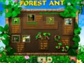 Forest Ant