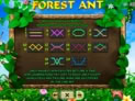 Forest Ant