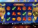 Fortune Koi