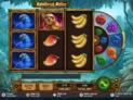 Rainforest Riches