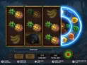 Rainforest Riches