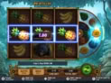 Rainforest Riches