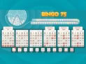 Bingo 75