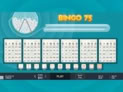 Bingo 75