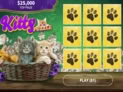 Kitty Puzzle