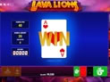 Lava Lions