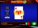 Fruit Mania DOUBLE RUSH