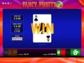 Fancy Fruits DOUBLE RUSH