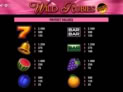 Wild Rubies Red Hot Firepot