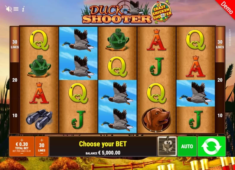 Duck Shooter Crazy Chicken Shooter game - play for free