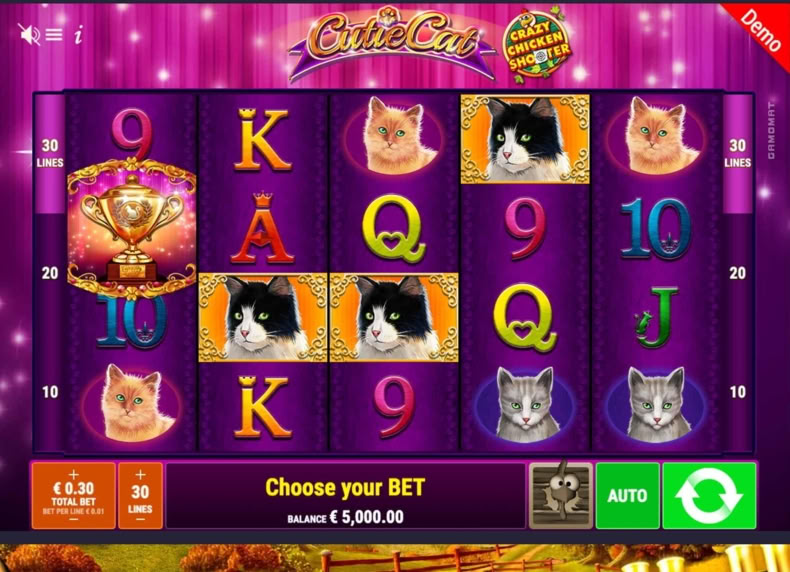 Cutie Cat Crazy Chicken Shooter game - play for free