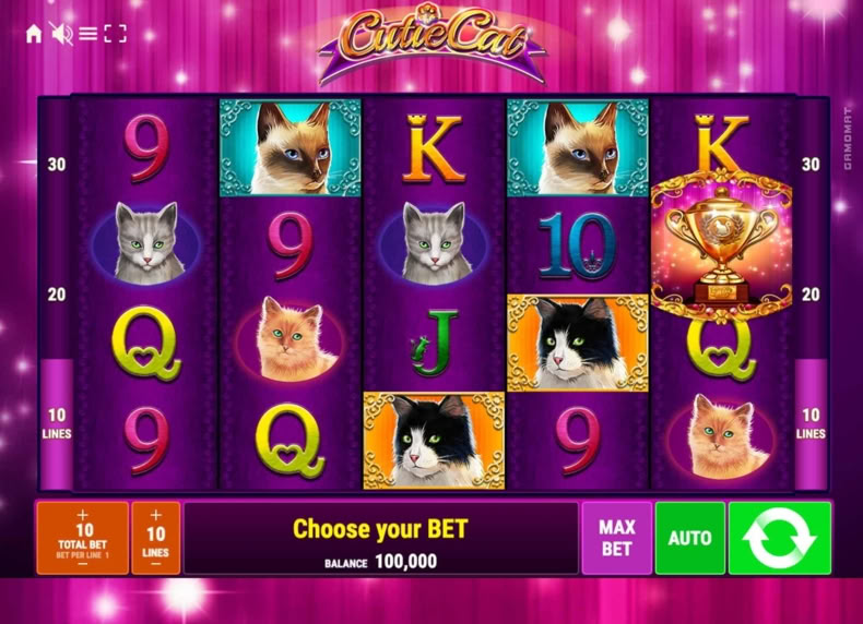 Cutie Cat game - play for free