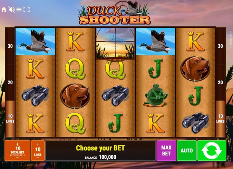 Duck Shooter game - play for free