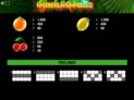 Back to the Fruits