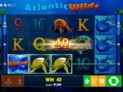 Atlantic Wilds