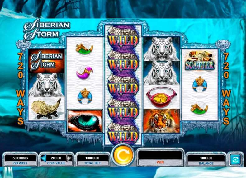 Siberian Storm game - play for free