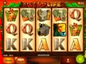 The Wild Life