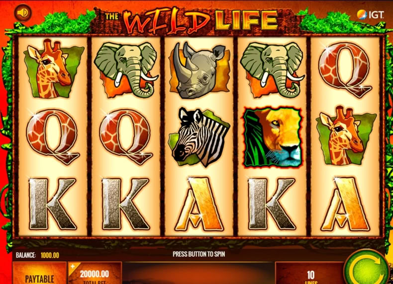The Wild Life game - play for free