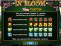 In Bloom
