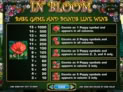 In Bloom