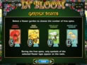 In Bloom
