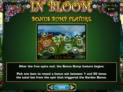 In Bloom