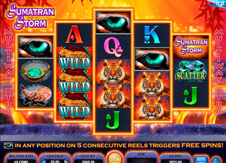 Sumatran Storm game - play for free