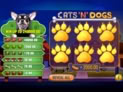 Cats 'N' Dogs