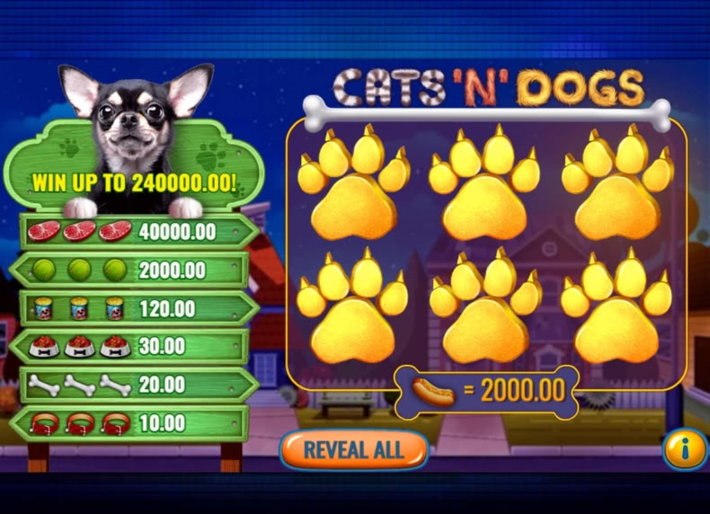 Cats 'N' Dogs game - play for free