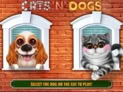 Cats 'N' Dogs