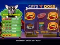 Cats 'N' Dogs