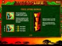 The Wild Life (EVA)