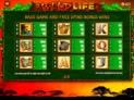 The Wild Life (EVA)