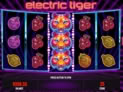 Electric Tiger