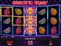 Electric Tiger