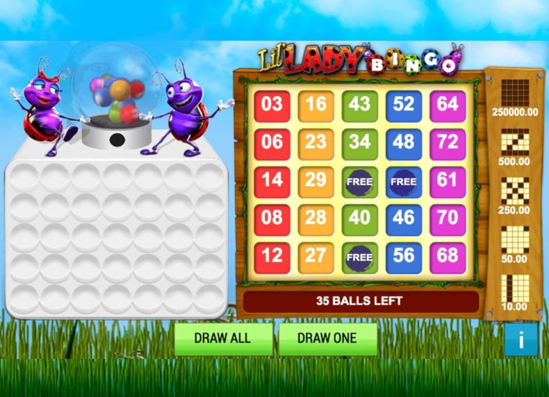 Lil' Lady Bingo game - play for free