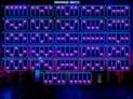Neon Fruits