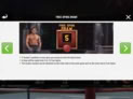 Boxing Champion Megaways