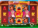 The Dog House™