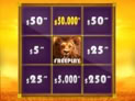 Hot Safari Scratchcard