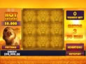 Hot Safari Scratchcard