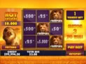 Hot Safari Scratchcard
