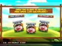 7 Piggies™