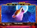 Wolf Gold™