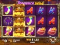 Treasure Wild™